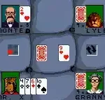 Hoyle Card Games (USA)