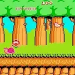 Hudson Best Collection Vol. 6 - Bouken Jima Collection (J)(Caravan)