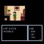 Idol Hakkenden (Japan)