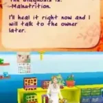 Imagine - Pet Vet (Europe) (En,Fr,De,Es,It,Nl,Sv,No,Da)