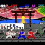 International Karate Plus