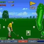 Irem Skins Game, The (USA)