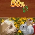 Jigapix - Pets (Europe) (En,Fr,De,Es,It,Nl) (NDSi Enhanced)