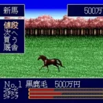 Jumpin' Derby (Japan)