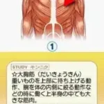 Kakko Yoku Narou - Kaku-chan Shiki - Kintore Navi (Japan)