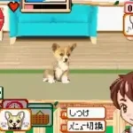 Kawaii Pet Game Gallery (J)(Rising Sun)