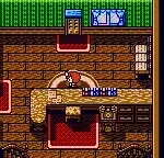 Kawaii Pet Shop Monogatari 2 (Japan)