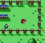 Kawaii Pet Shop Monogatari (Japan)