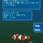 Kiwami Birei Aquarium - Sekai no Sakana to Iruka Kujira-tachi (Japan)