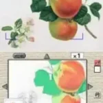 Kokoro o Yasumeru - Otona no Nurie DS (Japan)