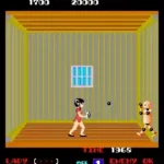 Lady Master of Kung Fu