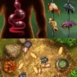 Lanfeust of Troy (Europe) (En,Fr,De,Es,It)