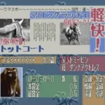 Leading Jockey (Japan)