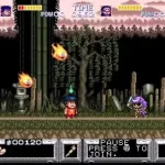 Legend of the Mystical Ninja, The (USA)