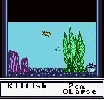 Legend of the River King GB (USA)