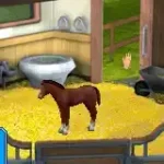 Let's Ride - Friends Forever (U)(Sir VG)