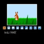 Lipple Island (Japan)