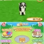 Machi no Pet-ya-san DS 2 - Wannyan 333-hiki Daishuugou! (Japan)