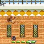 Madagascar (J)(sUppLeX)