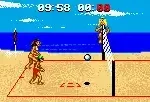 Malibu Bikini Volleyball (USA, Europe)