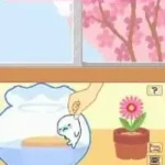 Mamegoma - Honobono Nikki (Japan)