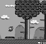 Maru's Mission (USA)