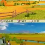 Meine Tierarztpraxis in Australien (Germany)