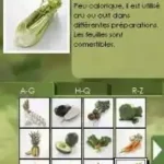 Mon Coach Personnel - Mes Recettes Plaisir et Ligne (France) (NDSi Enhanced)