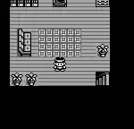 Monster Race (Japan)