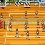 Multi Play Volleyball (Japan)