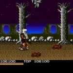 Mystical Fighter (USA)