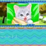 Nakayoshi Pet Advance Series 3 Kawaii Koneko (J)(Chakky)