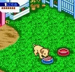 Nakayoshi Pet Series 3 - Kawaii Koinu (Japan)