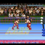 Natsume Championship Wrestling (USA)