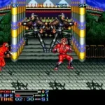 Ninja Combat (NGM-009)