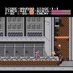 Ninja Ryukenden (Japan)