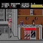 Ninja Ryuukenden Tomoe (Japan)