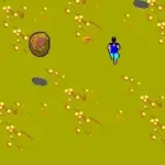 Ninja, The (USA, Europe)