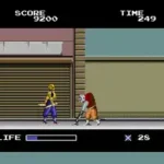 Ninja Warriors, The (Japan)