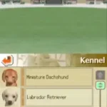 Nintendogs - Best Friends (USA)