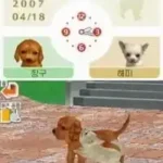 Nintendogs - Chihuahua & Chingudeul (Korea)