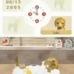 Nintendogs - Chihuahua & Friends (Europe) (En,Fr,De,Es,It)