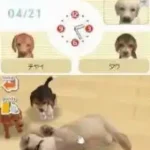 Nintendogs - Chihuahua & Friends (Japan)