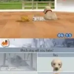 Nintendogs - Chihuahua & Friends (USA)