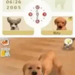 Nintendogs - Dachshund & Friends (Europe) (En,Fr,De,Es,It)