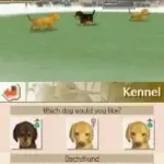 Nintendogs - Dachshund & Friends (USA)
