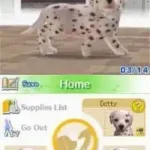 Nintendogs - Dalmatian & Friends (USA)