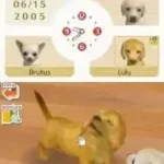 Nintendogs - Lab & Friends (USA)