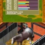 Paard & Pony - Mijn Paardenstal (Netherlands) (En,Nl)