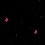 Pajaro del Espacio (Spanish bootleg of UniWar S) [Bootleg]